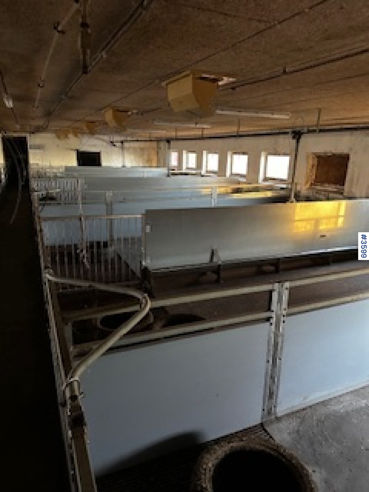 WEDG Pig House interior! - Livestock equipment: picture 1 WEDG Pig House interior! - Livestock equipment: picture 1