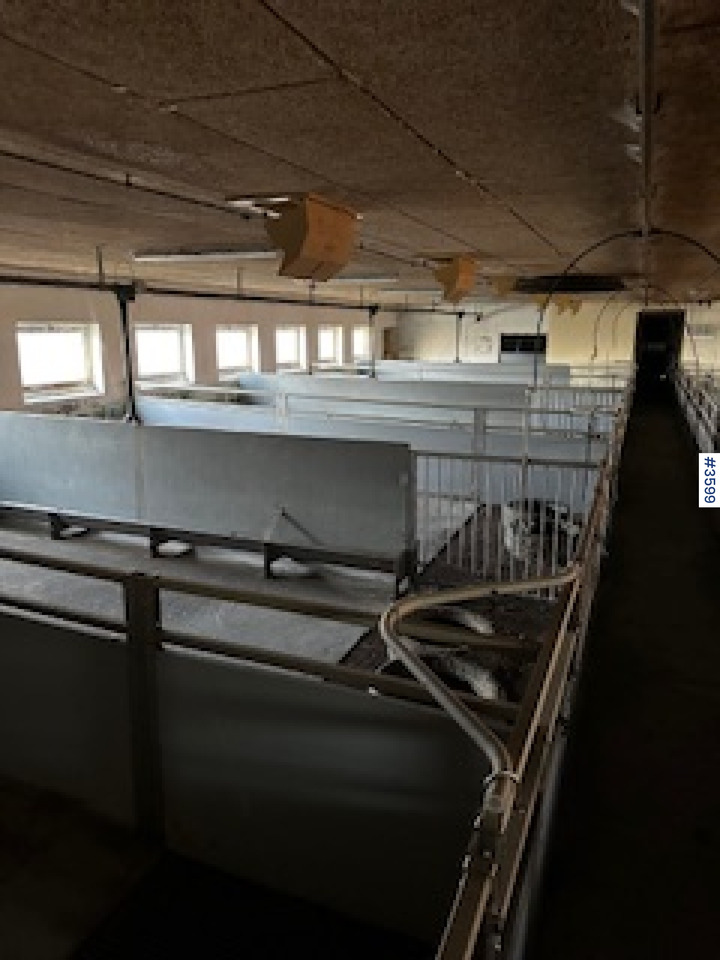WEDG Pig House interior! - Livestock equipment: picture 3 WEDG Pig House interior! - Livestock equipment: picture 3