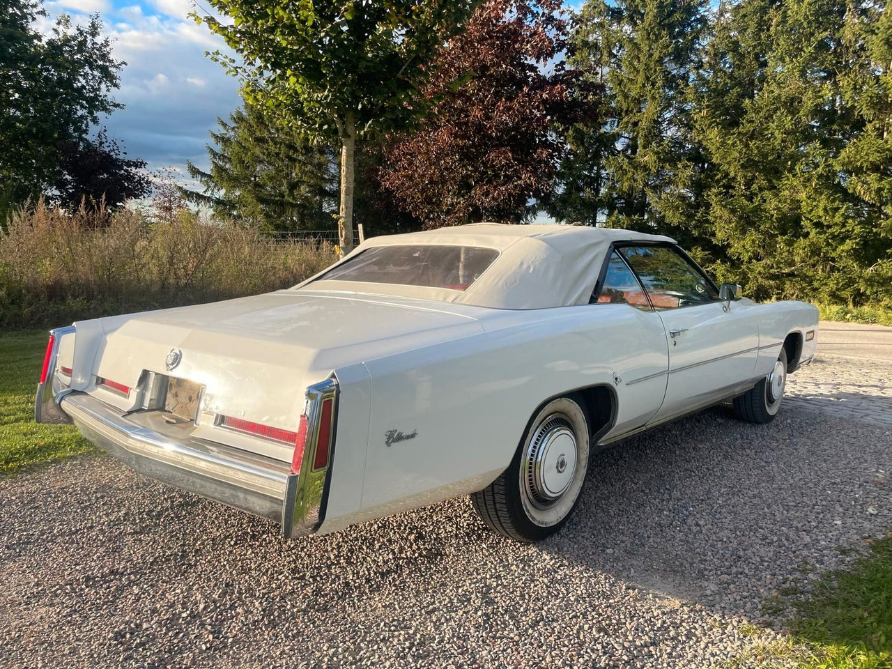 Cadillac Eldorado Convertible - Convertible: picture 4 Cadillac Eldorado Convertible - Convertible: picture 4