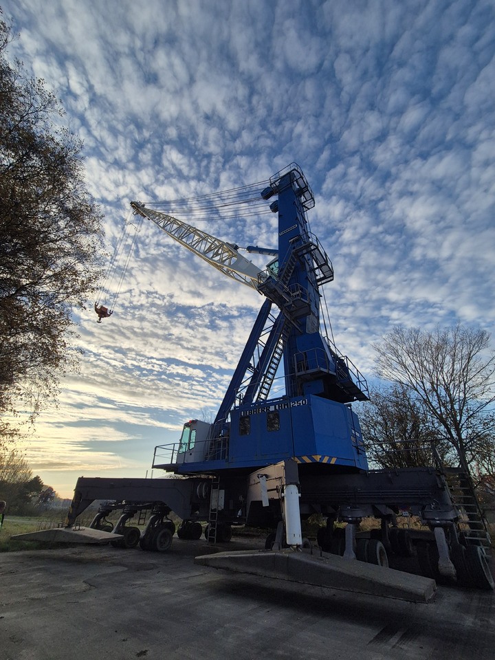 Liebherr LHM250 - Port equipment: picture 1 Liebherr LHM250 - Port equipment: picture 1