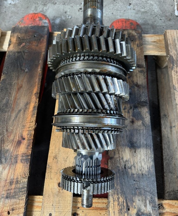 IVECO ZF 6S1000 Eurocargo Daf Man IVECO ZF 6S1000 Iveco Eurocargo Daf Man - Gearbox and parts for Truck: picture 2 IVECO ZF 6S1000 Eurocargo Daf Man IVECO ZF 6S1000 Iveco Eurocargo Daf Man - Gearbox and parts for Truck: picture 2
