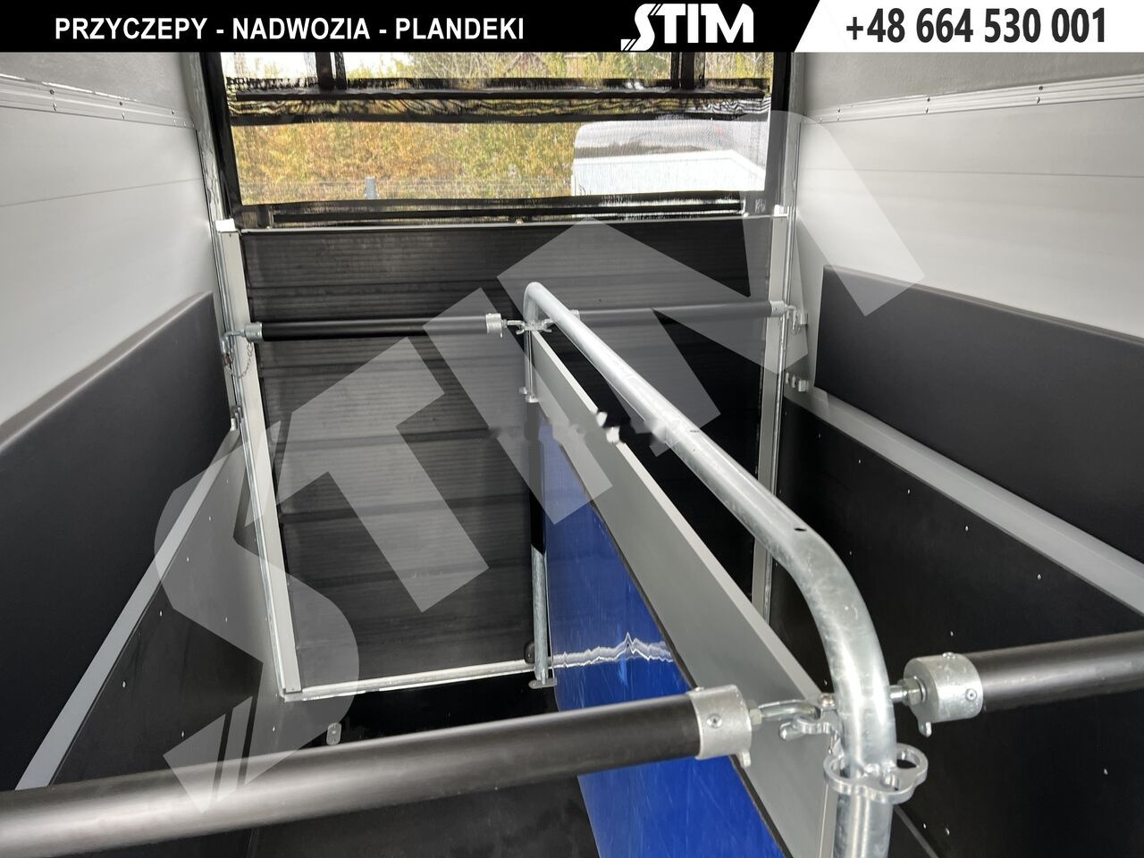 New Horse trailer Cheval Liberté GOLD ORIGINS: picture 10
