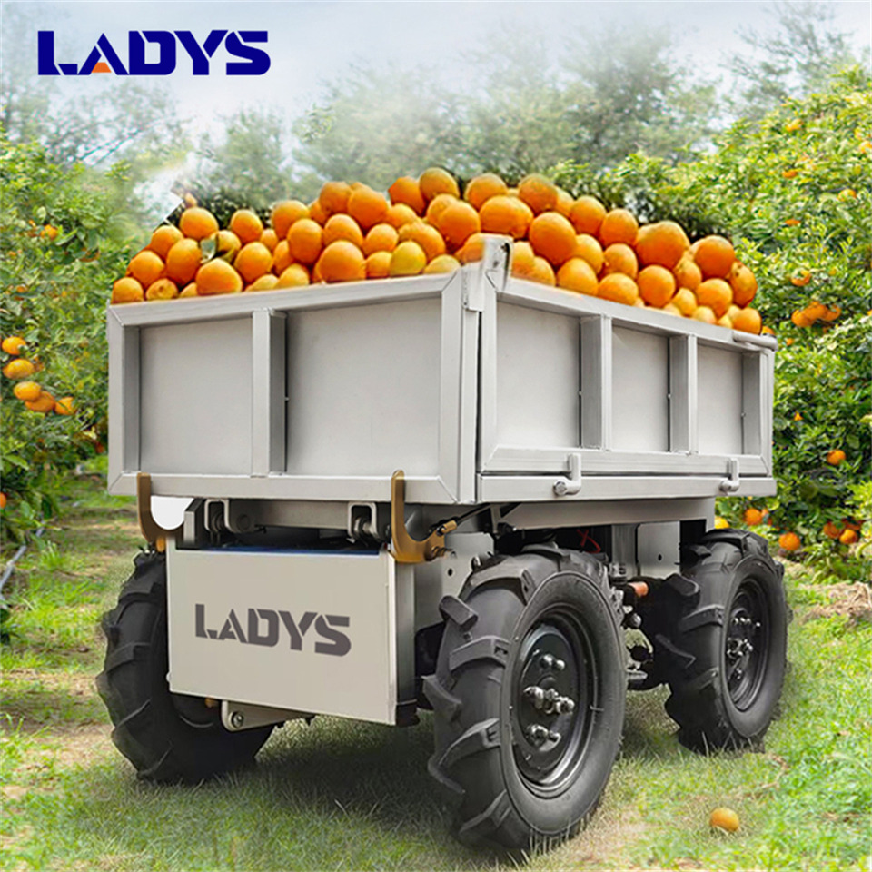 LADYS Electric Remote Control Transporter Agricultural Orchard Farm Electric Utv Material Handling Equipment All Terrain Transport Vehicle - Farm tipping trailer/ Dumper: picture 1 LADYS Electric Remote Control Transporter Agricultural Orchard Farm Electric Utv Material Handling Equipment All Terrain Transport Vehicle - Farm tipping trailer/ Dumper: picture 1