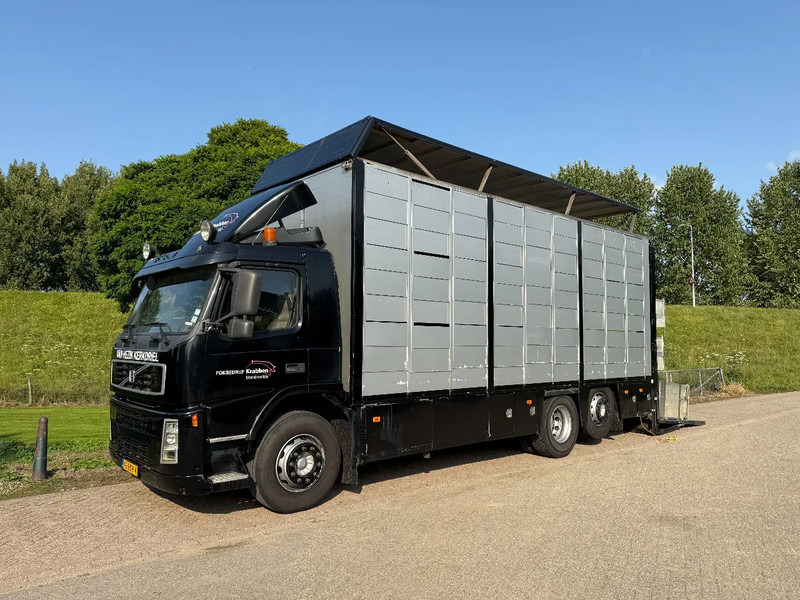 Volvo FM 300 Livestock Cuppers 3 laags 6x2 - Livestock truck: picture 1 Volvo FM 300 Livestock Cuppers 3 laags 6x2 - Livestock truck: picture 1
