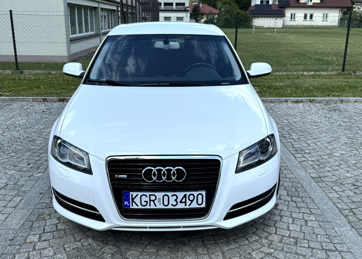 Car Audi A3 1.6 TDI 105KM Bezwypadkowy potwierdzony przebieg AUTO BARDZO ZADBANE: picture 9