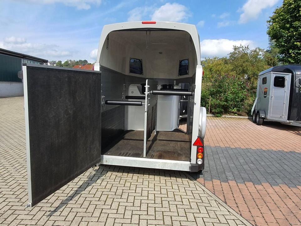 ALU Pferdeanhänger Ifor Williams HB 506 Flügeltür Sattelkammer - Horse trailer: picture 1 ALU Pferdeanhänger Ifor Williams HB 506 Flügeltür Sattelkammer - Horse trailer: picture 1