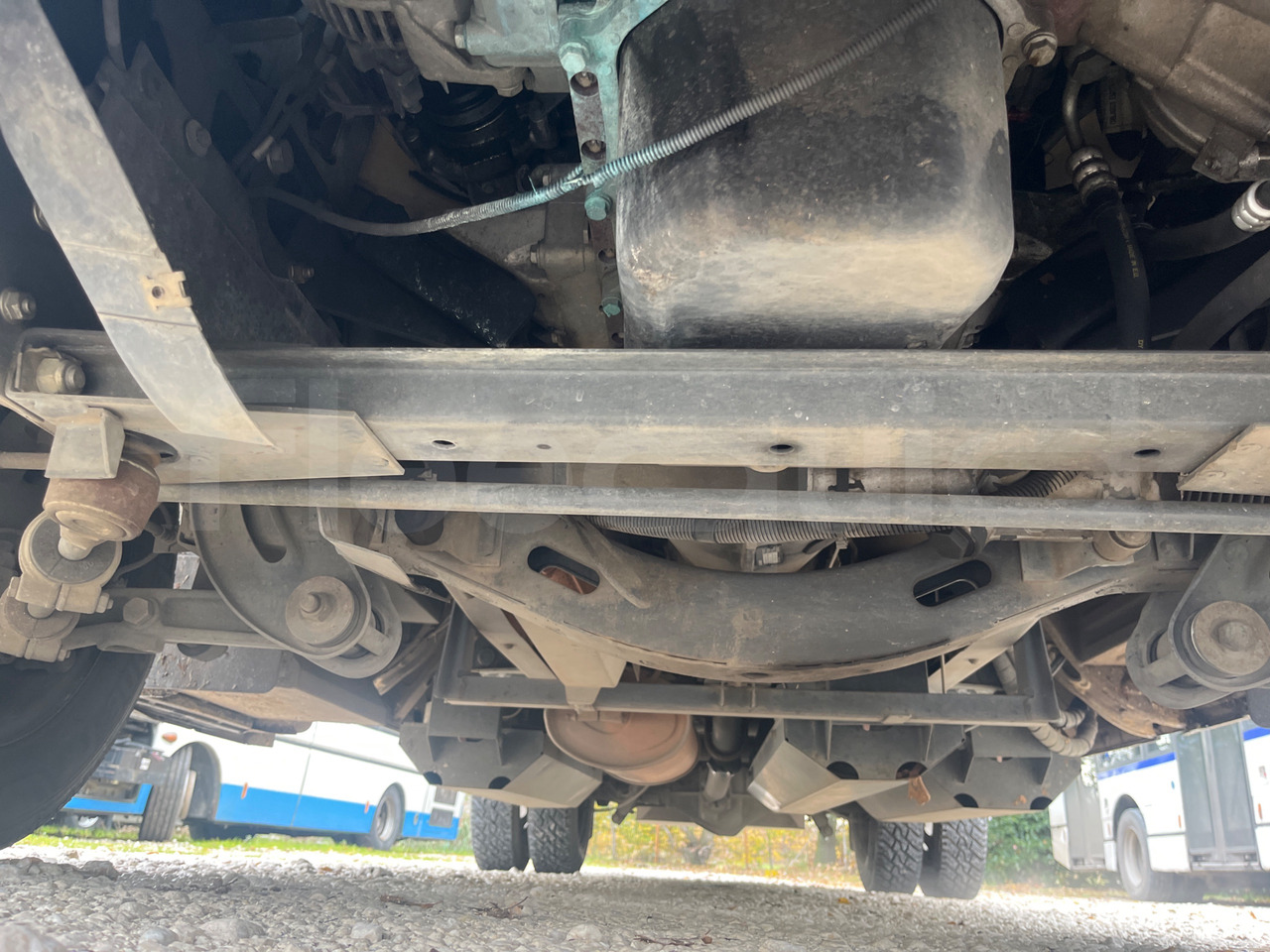 School bus Iveco Daily: picture 11 School bus Iveco Daily: picture 11