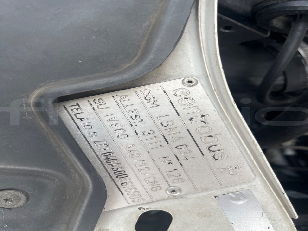 School bus Iveco Daily: picture 15 School bus Iveco Daily: picture 15