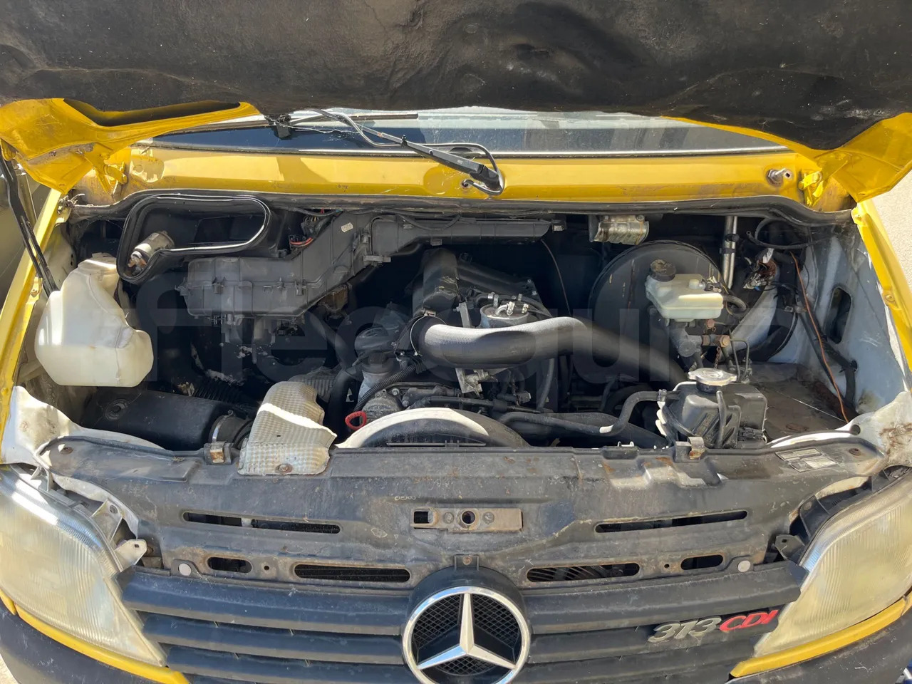 School bus Mercedes-Benz 313 CDI: picture 9