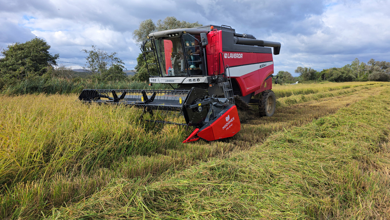 Modonex FE-600 - Grain header: picture 4 Modonex FE-600 - Grain header: picture 4