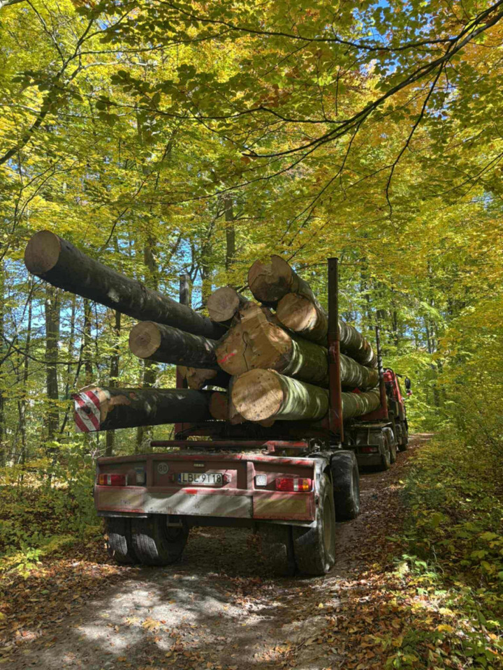 DAF CF510 - Logging truck, Crane truck: picture 3 DAF CF510 - Logging truck, Crane truck: picture 3