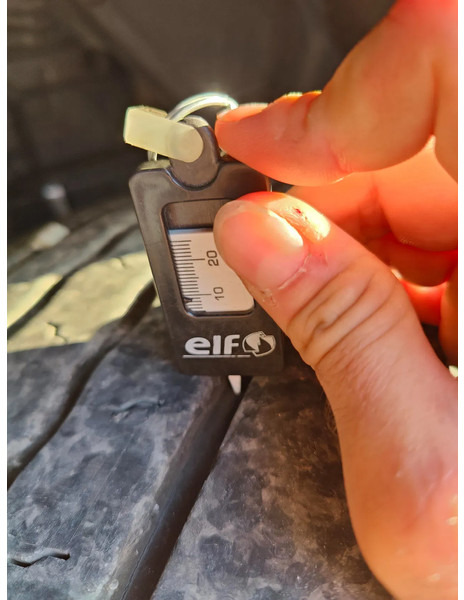 Dropside/ Flatbed truck, Crane truck MAN TGM 18.250 Open box + HIAB 166-3: picture 20 Dropside/ Flatbed truck, Crane truck MAN TGM 18.250 Open box + HIAB 166-3: picture 20