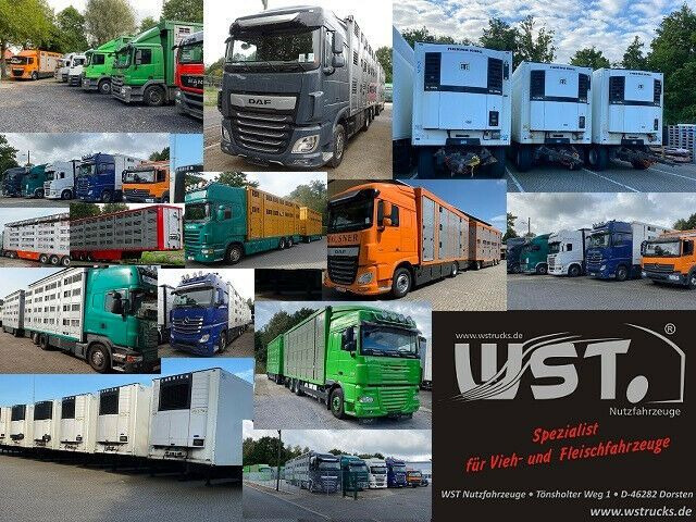 Livestock trailer KABA 2 Stock  Hubdach Vollalu 7,30m Viehanhänger: picture 18