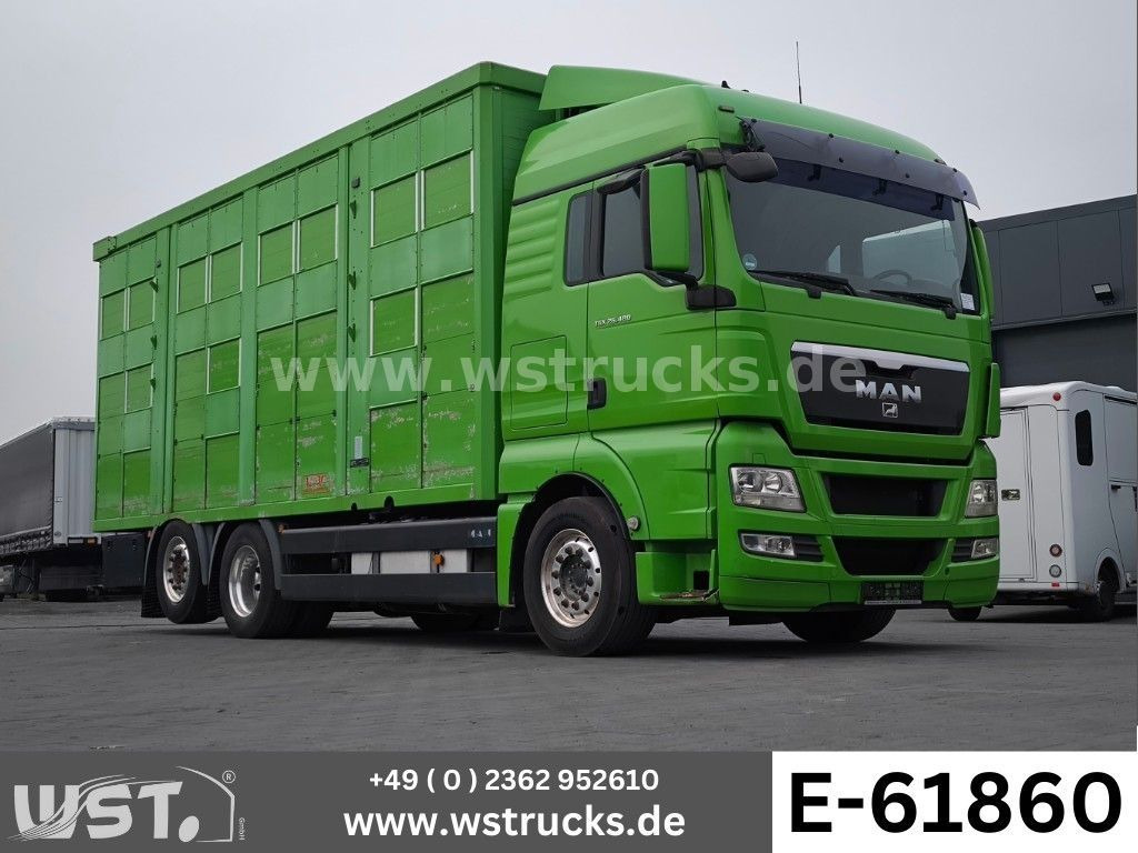 MAN TGX 26.480 XL KABA 3 Stock Vollalu - Horse truck: picture 1 MAN TGX 26.480 XL KABA 3 Stock Vollalu - Horse truck: picture 1