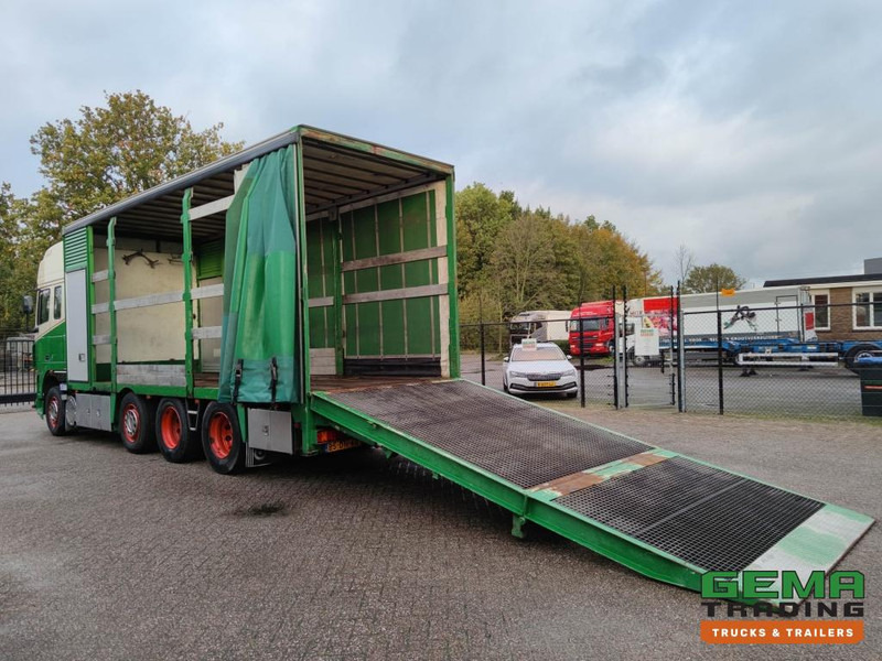 DAF FAK XF95.430 8x2 SuperSpaceCab Euro3 - CurtainSider 7.31m + Ramp 16T - MachineTransporter - 6 Persons  (V558) - Autotransporter truck: picture 2 DAF FAK XF95.430 8x2 SuperSpaceCab Euro3 - CurtainSider 7.31m + Ramp 16T - MachineTransporter - 6 Persons  (V558) - Autotransporter truck: picture 2