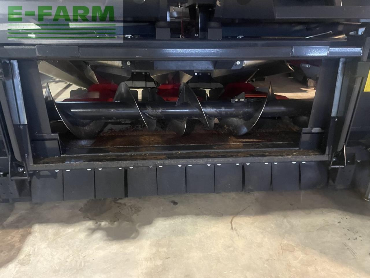 Dominoni maispflücker 8 reiher - Forage harvester attachment: picture 2 Dominoni maispflücker 8 reiher - Forage harvester attachment: picture 2