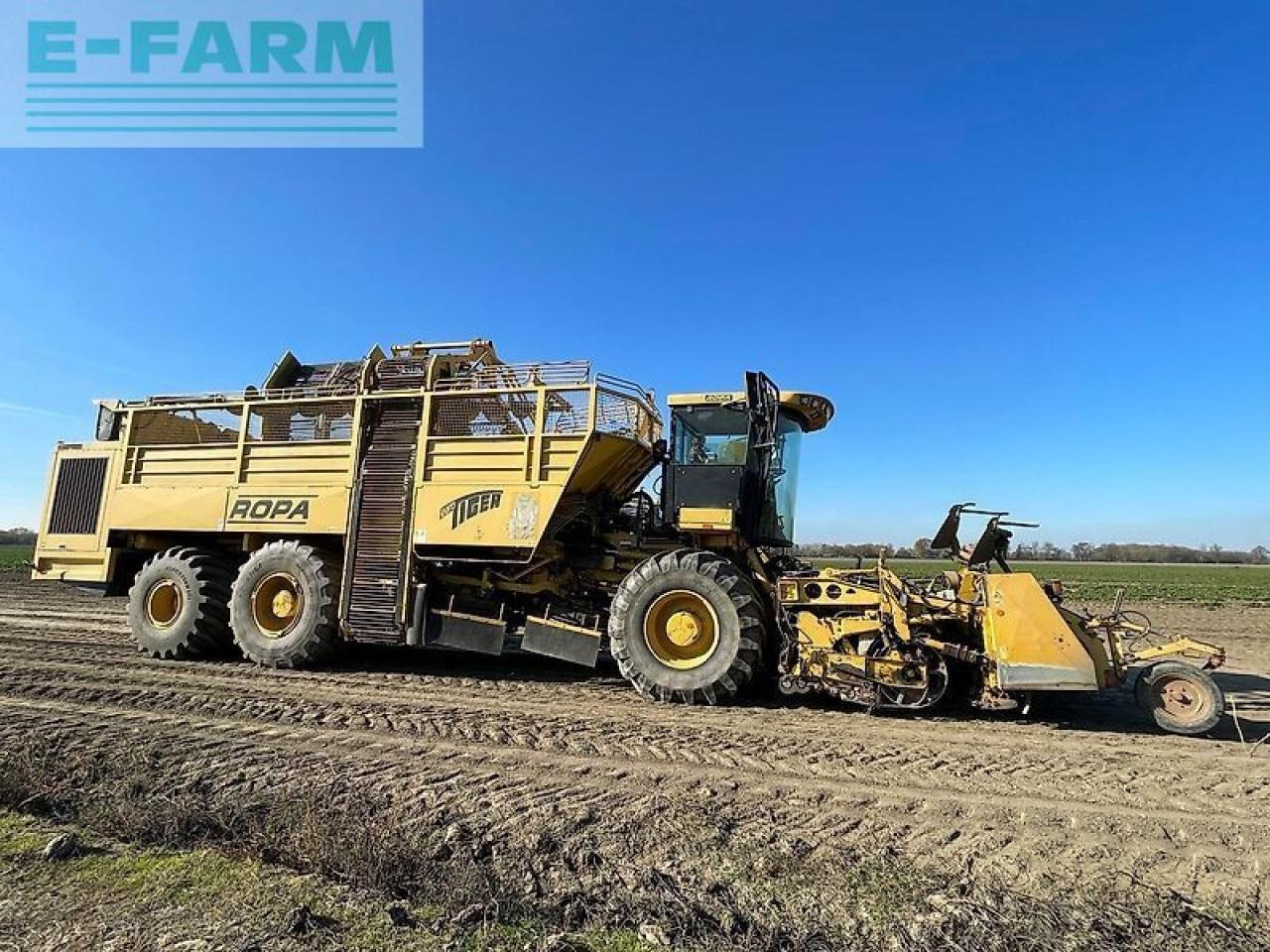 Ropa euro tiger - Beet harvester: picture 2 Ropa euro tiger - Beet harvester: picture 2