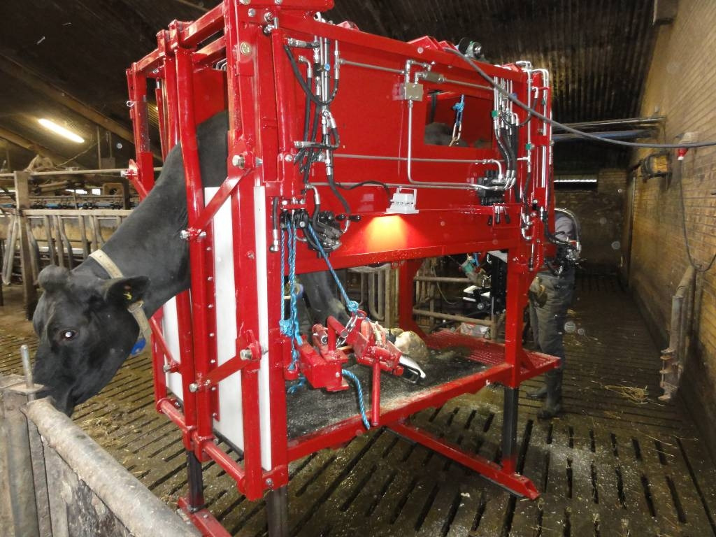 Pomi Klovbeskæringsboks / hoof trimming box - Agricultural machinery: picture 1 Pomi Klovbeskæringsboks / hoof trimming box - Agricultural machinery: picture 1