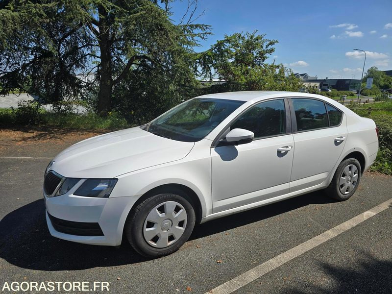EL-119-BW - Non Roulant - SKODA OCTAVIA - CG INTEGRAL - 250 000 Kms - Car: picture 1 EL-119-BW - Non Roulant - SKODA OCTAVIA - CG INTEGRAL - 250 000 Kms - Car: picture 1