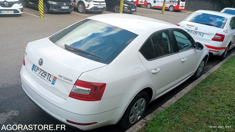 EP-729-TL - Non Roulant - SKODA OCTAVIA - VP - 349 390 Kms - Car: picture 4 EP-729-TL - Non Roulant - SKODA OCTAVIA - VP - 349 390 Kms - Car: picture 4