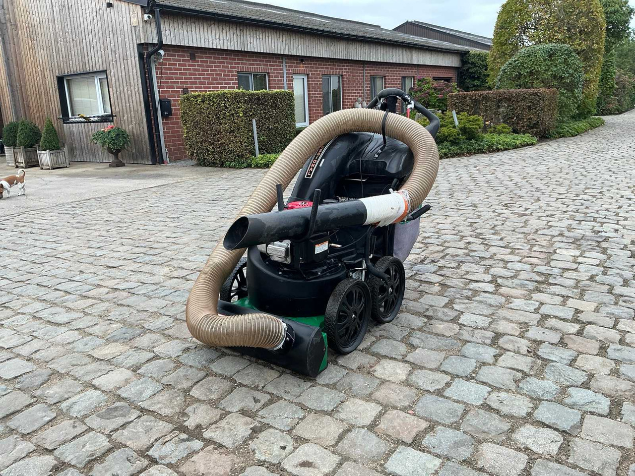 Billy Goat Mv650SPHEU - Garden equipment: picture 1 Billy Goat Mv650SPHEU - Garden equipment: picture 1
