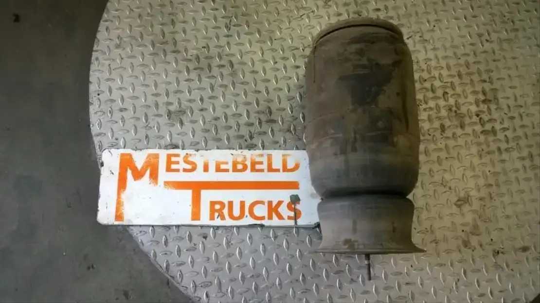 DAF Luchtbalg LF55 - Brake parts for Truck: picture 1 DAF Luchtbalg LF55 - Brake parts for Truck: picture 1