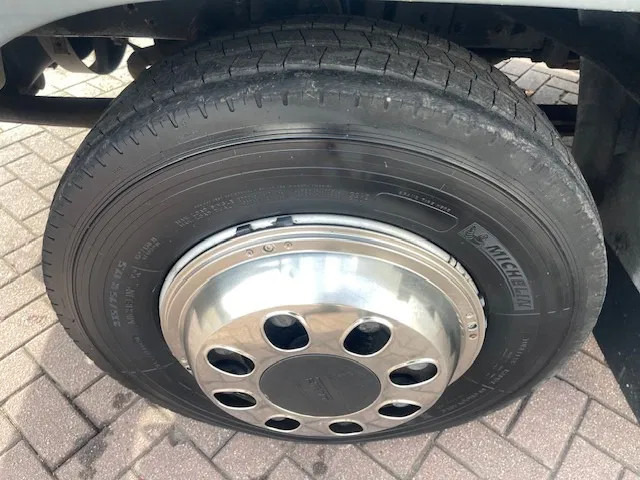 Horse truck DAF LF 45.130 CLEAN HORSES NL-TRUCK: picture 20