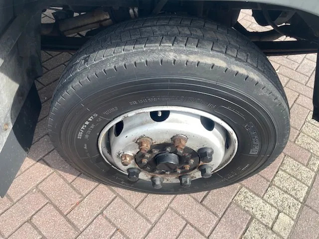 Horse truck DAF LF 45.130 CLEAN HORSES NL-TRUCK: picture 19