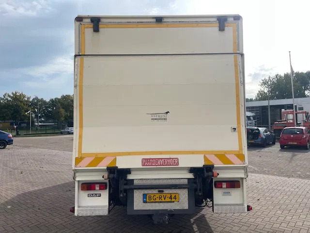 Horse truck DAF LF 45.130 CLEAN HORSES NL-TRUCK: picture 6