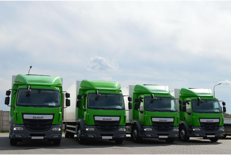 DAF LF 320 - Refrigerator truck: picture 2 DAF LF 320 - Refrigerator truck: picture 2