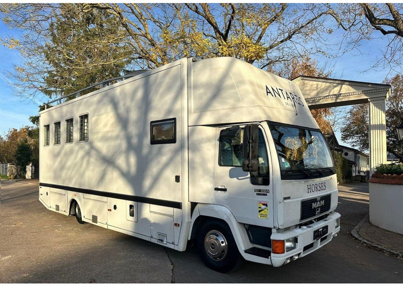 MAN 10.224 - Horse truck: picture 1 MAN 10.224 - Horse truck: picture 1