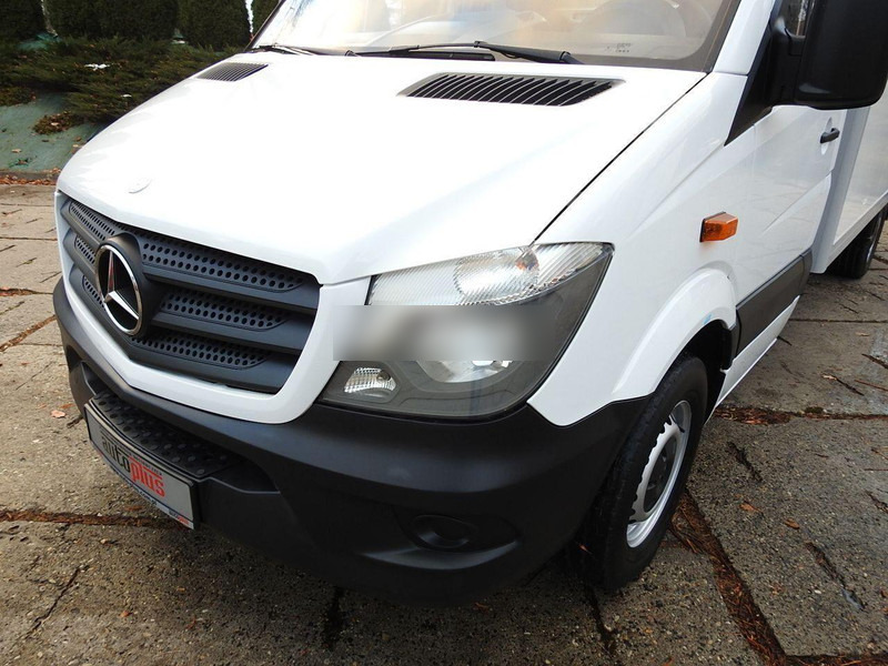 Refrigerated delivery van Mercedes-Benz SPRINTER 313 Izotermes: picture 16
