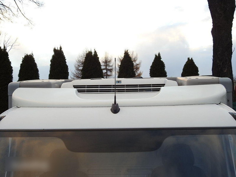 Refrigerated delivery van Mercedes-Benz SPRINTER 313 Izotermes: picture 18