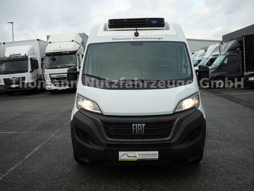 Fiat Ducato Kühlkasten L4/H2 Carrier Xarios 300GH - Refrigerated delivery van: picture 2 Fiat Ducato Kühlkasten L4/H2 Carrier Xarios 300GH - Refrigerated delivery van: picture 2