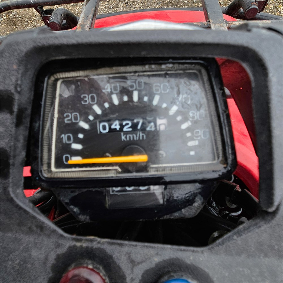 ATV/ Quad Suzuki Eiger 400: picture 9