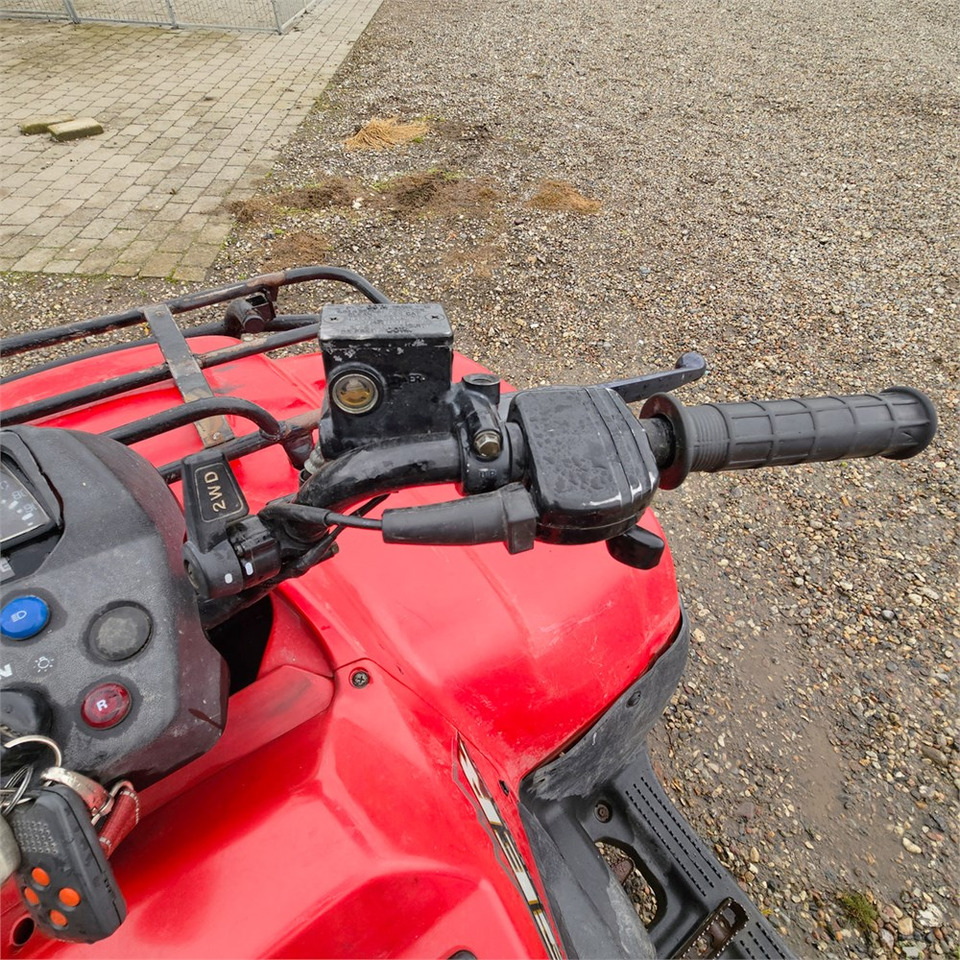 ATV/ Quad Suzuki Eiger 400: picture 12