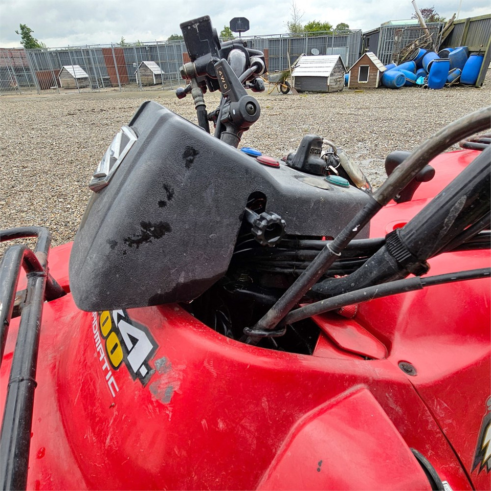 ATV/ Quad Suzuki Eiger 400: picture 13