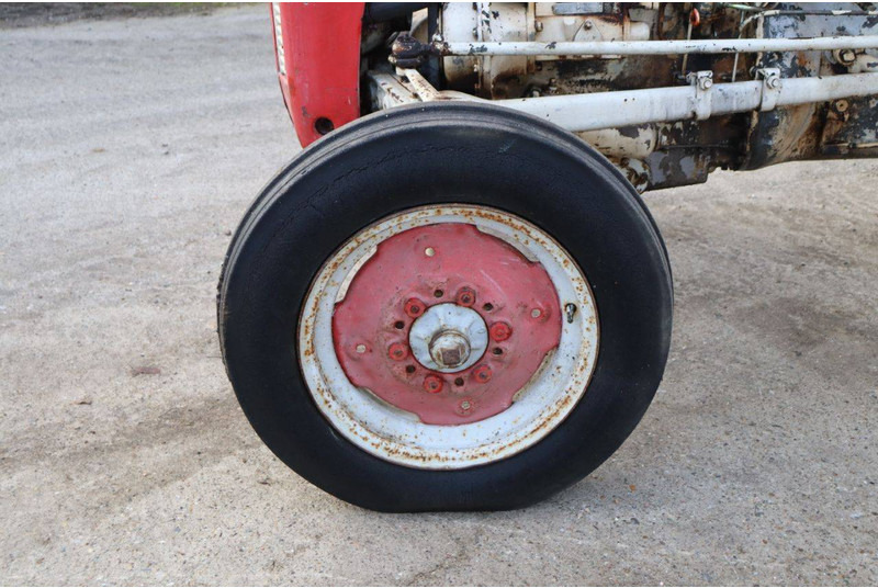 Farm tractor Massey Ferguson Ferguson Vintage Tractor: picture 12