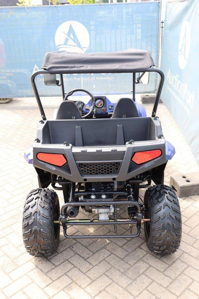 Wextrem UTV-ATV 200Pro - Golf cart: picture 4 Wextrem UTV-ATV 200Pro - Golf cart: picture 4